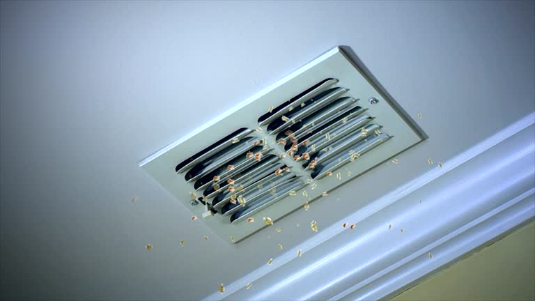 Best Ductwork Cleaning Services  in Loyalhanna, PA